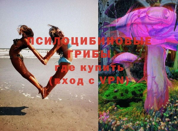 прущая мука Богданович