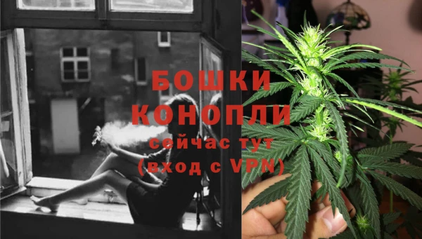 прущая мука Богданович
