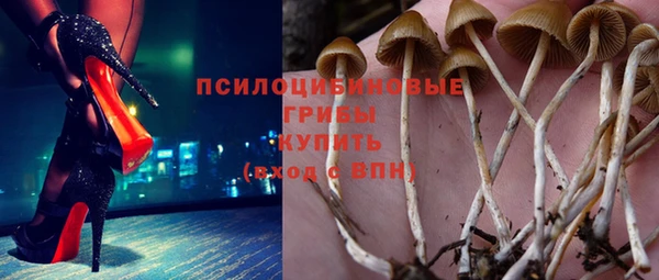 MDMA Богородицк