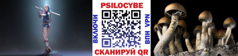 Псилоцибиновые грибы Magic Shrooms  где найти   Крымск 